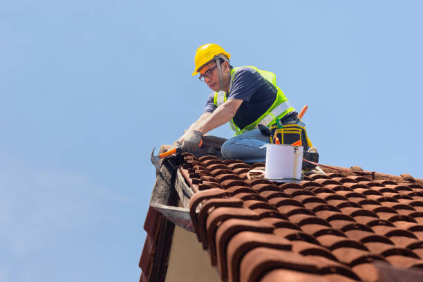 Best Roof Maintenance and Cleaning  in Joliet, IL